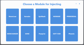 csinjector.PNG csinjector.PNG