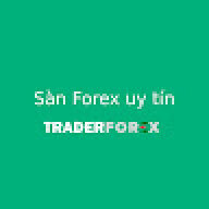 sanforexuyti