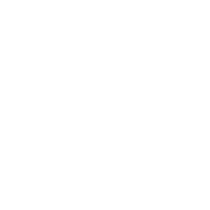 sbiz11