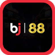 BJ8vnbuil