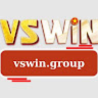 vswingroup