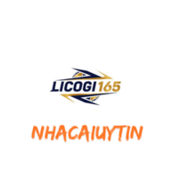 nhacaiuytinol