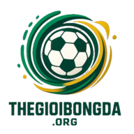 nhandinhbongdazi
