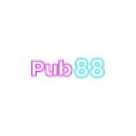 pubwin