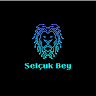 selcuk145341